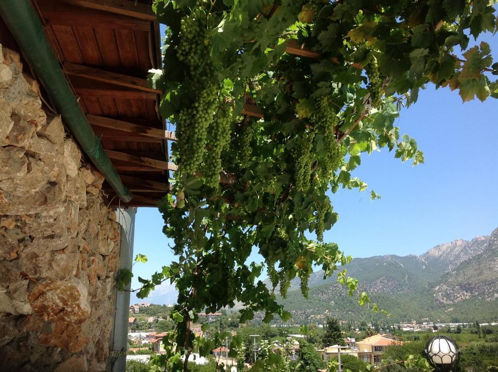 Adrasan Kybele Hotel Buitenkant foto